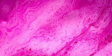 A Vibrant Colorful Painting with Grunge and Water Textures