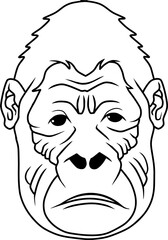 old gorilla head line vector illustration isolated on white background