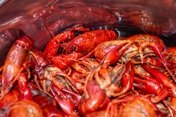 Boiled red crawfishon close up top of view