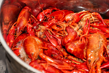Boiled red crawfishon close up top of view