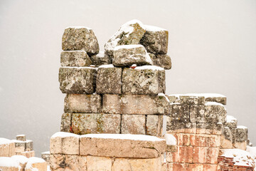.To visit the sprawling ruins of Sagalassos, high amid the jagged peaks of Ak Dag, is to approach...