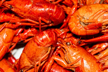 Boiled red crawfishon close up top of view