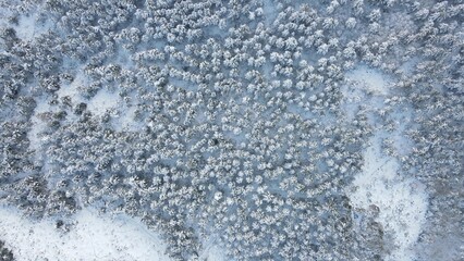 Winter forest snow aerial view