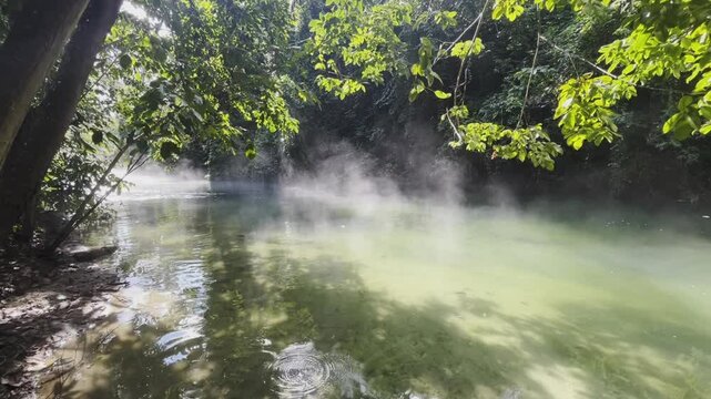 Amazonia at Pucallpa Ucayali Peru. Boiling river Mayantuyacu