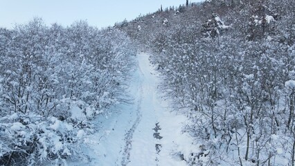 Frozen forest snow road aerial view