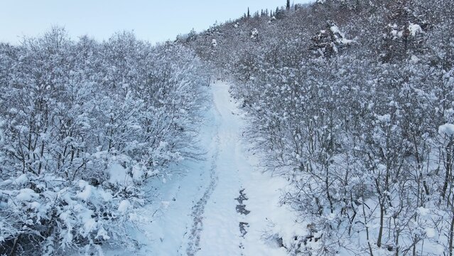 Frozen forest snow road aerial view - Powered by Adobe