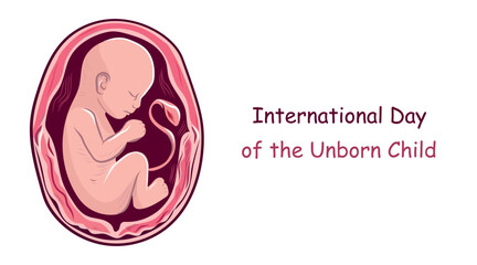 International day of the unborn child, children, fetus, in the womb, vector illustration
