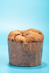 Panettone, details of a panettone with chocolate drops, blue background, selective focus.