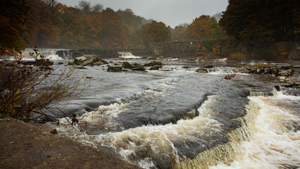 waterfall on river swale at richmond in autumn