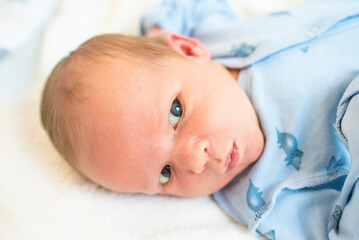 Portrait of a newborn boy. 14 days old.