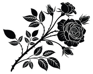 Old Fashion Black Rose Tree Floral Element. black and white flowers, black and white flower, black and white background, branches and leaves in black and white, Set of silhouettes of peony flowers.