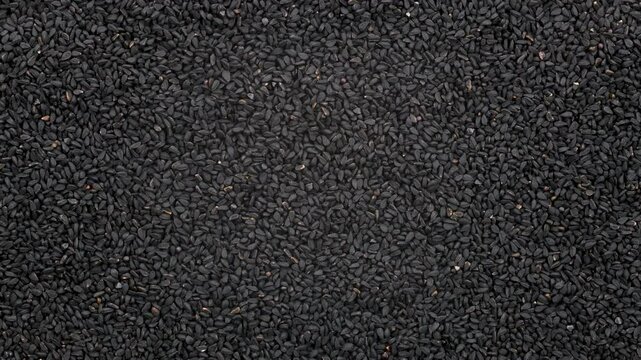 Top down view. Heap of dry black cumin seeds, slider shot. Ingredients, food seasoning, cooking, spices, flavor concepts. 4k