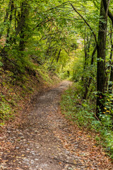 Hiking trail in Derdap National Park, Serbia
