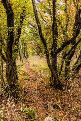 Fototapeta premium Hiking trail in Derdap National Park, Serbia