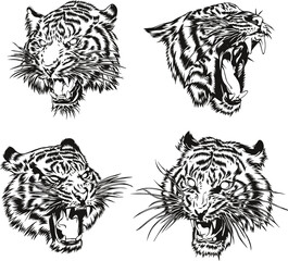 Tiger Head Hand Draw Vector