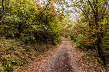 Obraz premium Hiking trail in Derdap National Park, Serbia