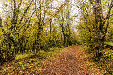 Obraz premium Hiking trail in Derdap National Park, Serbia