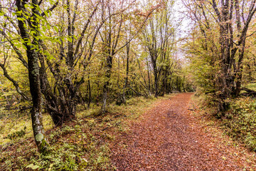 Fototapeta premium Hiking trail in Derdap National Park, Serbia