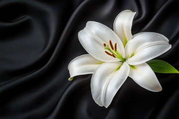 Fototapeta premium close up of white lily on dark fabric, showcasing elegance