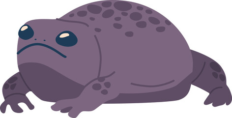 Abdominous exotic frog amphibian animal