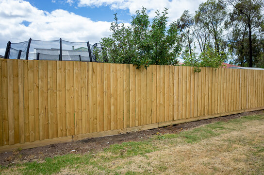  a newly installed timber garden fence in the suburban backyard of a residential house in Australia. The wooden fence panels are aligned neatly and supported by posts.