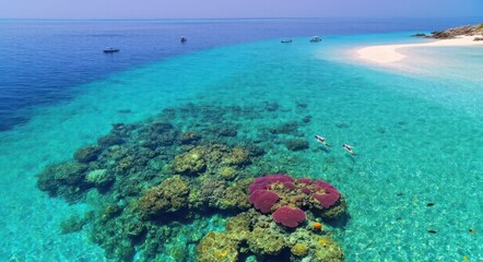 Naklejka premium Aerial View of Stunning Coral Reefs .