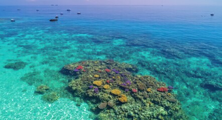 Fototapeta premium Aerial View of Stunning Coral Reefs .