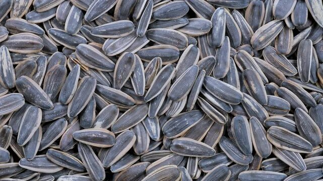 Top down view. Heap of black sunflower seeds, Slider shot. Healthy snacks, natural foods, vegan diets concepts. 4k