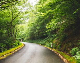 Obraz premium Cinematic Storytelling: The Hero’s Journey Through a Mysterious Forest