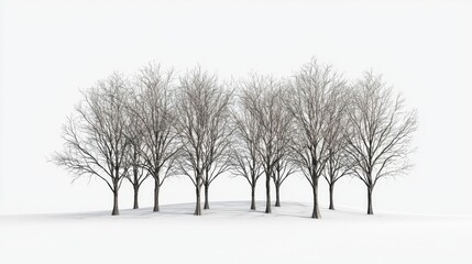 Obraz premium Winter Landscape Bare Trees Snow Minimalist Nature Scene