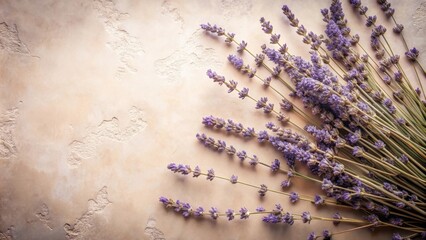 Aromatic Lavender Sprigs Arranged on a Textured Background