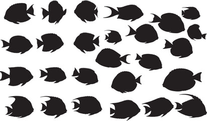 Fototapeta premium Blue Tang Silhouette