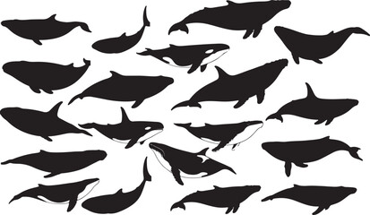 Blue Wheel Silhouette