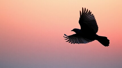 Silhouette of bird in flight at sunset.