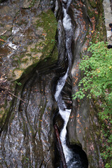 waterfall in the forest