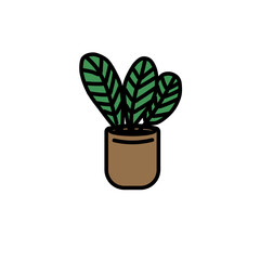 plant in a pot, green leaf illustration