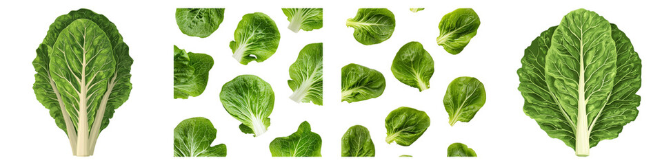 Obraz premium Fresh lettuce leaf concept. Romaine lettuce leaves displayed in various orientations on a black background. on Transparent background.