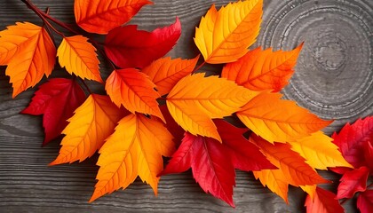 Fototapeta premium Vibrant Autumn Leaves Arranged On Wooden Background