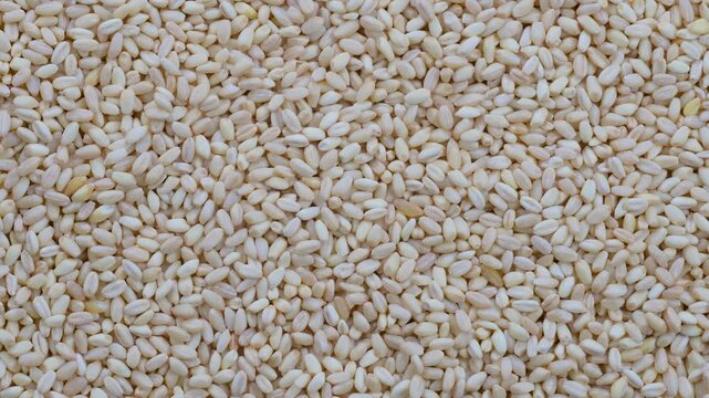 Top down view. Heap of raw uncooked wheat grains. Slider shot. Texture of grains. Cooking, whole grains, traditional cuisine, food-related themes. 4k