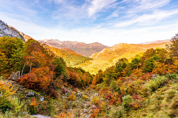 Val d'Azun, nestled in the French Pyrenees, captivates with golden autumn hues, rolling meadows, and tranquil paths under the vast, clear blue sky.
