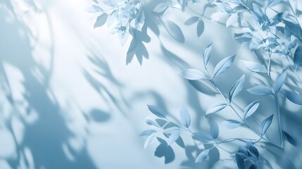 Pale Blue Leaves Cast Shadows On A Light Background