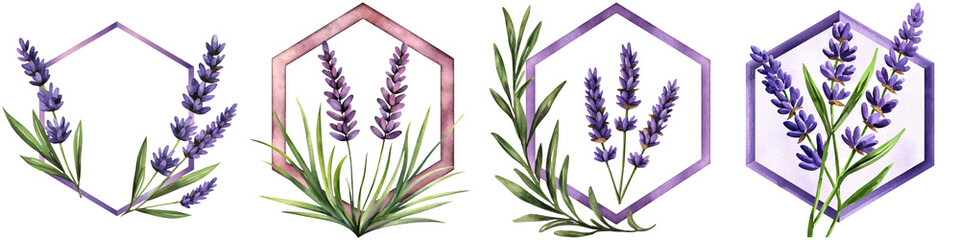 Naklejka premium Watercolor lavender design and flower logo, A series of hexagonal designs featuring lavender flowers and leaves, showcasing their vibrant purple hues and botanical elegance.