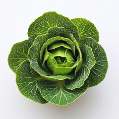Obraz premium Fresh Green Cabbage Head with Leafy Texture Displayed on a White Background for Culinary and Natural Food Concepts