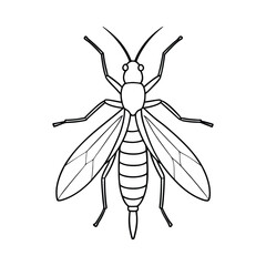 Stonefly (Plecoptera) insect silhouette design, labeled line art vector illustration.