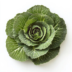 Obraz premium Fresh and Vibrant Green Cabbage with Curled Leaves Displayed on a White Background for Culinary and Nutritional Themes