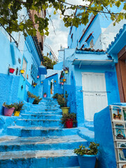 Blue city of Chefchaouen Morocco. Colorful Flower Pots in an Alley in the Blue City, Chefchaouen,...