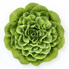 Obraz premium Fresh Green Lettuce Leaf Arrangement with Texture and Detail for Culinary and Healthy Lifestyle Imagery