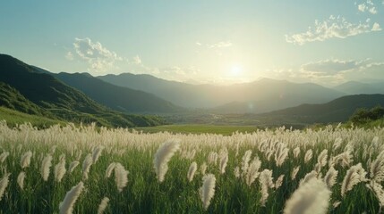 Obraz premium Serene Sunset Over Mountain Valley Grassland