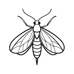 Alderfly (Sialidae) insect design, labeled line art vector illustration.