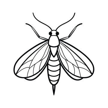 black and white moth insect clip art preview